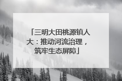 三明大田桃源镇人大：推动河流治理，筑牢生态屏障