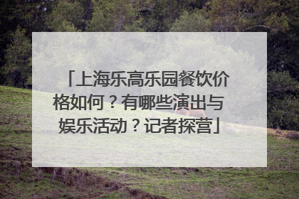 上海乐高乐园餐饮价格如何？有哪些演出与娱乐活动？记者探营