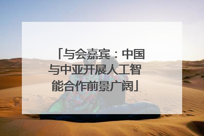 与会嘉宾：中国与中亚开展人工智能合作前景广阔