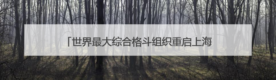 世界最大综合格斗组织重启上海站 UFC格斗之夜8月上演