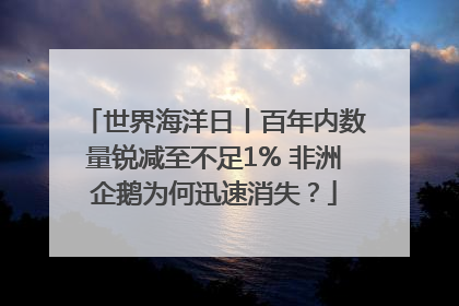 世界海洋日丨百年内数量锐减至不足1% 非洲企鹅为何迅速消失？