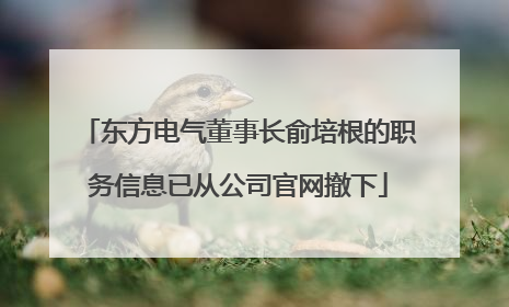 东方电气董事长俞培根的职务信息已从公司官网撤下