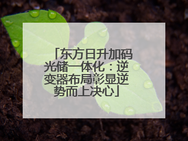 东方日升加码光储一体化：逆变器布局彰显逆势而上决心