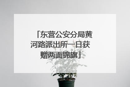 东营公安分局黄河路派出所一日获赠两面锦旗