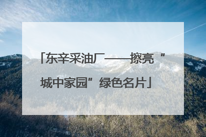 东辛采油厂——擦亮“城中家园”绿色名片