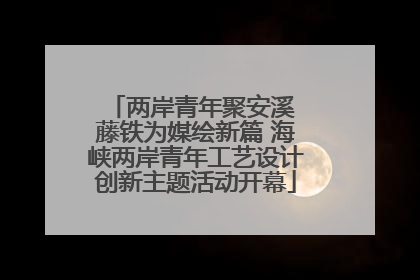 两岸青年聚安溪 藤铁为媒绘新篇 海峡两岸青年工艺设计创新主题活动开幕