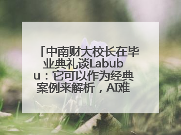 中南财大校长在毕业典礼谈Labubu：它可以作为经典案例来解析，AI难以给出答案