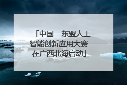 中国—东盟人工智能创新应用大赛在广西北海启动