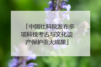中国社科院发布多项科技考古与文化遗产保护重大成果