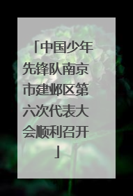 中国少年先锋队南京市建邺区第六次代表大会顺利召开