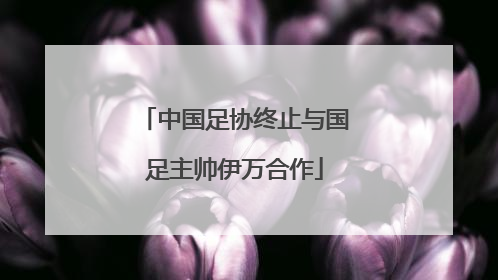 中国足协终止与国足主帅伊万合作