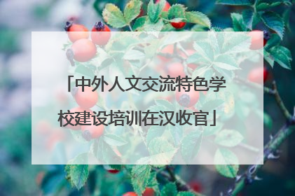 中外人文交流特色学校建设培训在汉收官