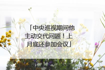 中央巡视期间他主动交代问题！上月底还参加会议