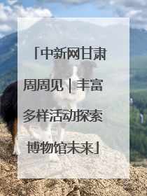 中新网甘肃周周见｜丰富多样活动探索博物馆未来