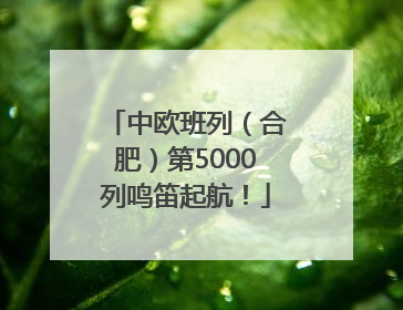 中欧班列（合肥）第5000列鸣笛起航！