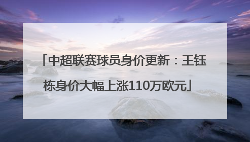 中超联赛球员身价更新：王钰栋身价大幅上涨110万欧元