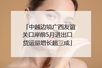 中越边境广西友谊关口岸前5月进出口货运量增长超三成