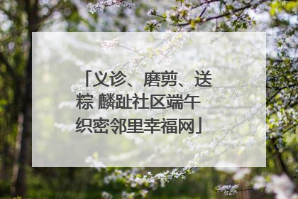 义诊、磨剪、送粽 麟趾社区端午织密邻里幸福网