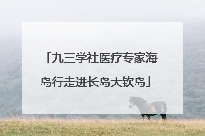 九三学社医疗专家海岛行走进长岛大钦岛