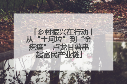 乡村振兴在行动丨从“土坷垃”到“金疙瘩” 卢龙甘薯串起富民产业链
