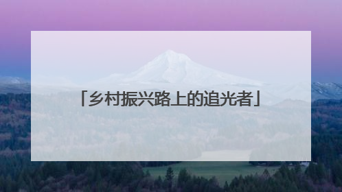 乡村振兴路上的追光者
