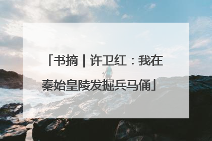 书摘｜许卫红：我在秦始皇陵发掘兵马俑