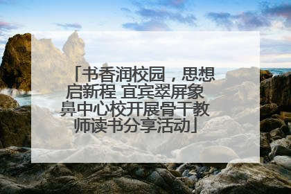 书香润校园，思想启新程 宜宾翠屏象鼻中心校开展骨干教师读书分享活动