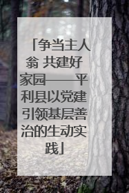 争当主人翁 共建好家园——平利县以党建引领基层善治的生动实践