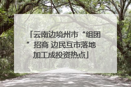 云南边境州市“组团”招商 边民互市落地加工成投资热点