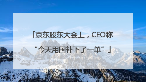 京东股东大会上，CEO称“今天用国补下了一单”