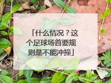 什么情况？这个足球场首要规则是不能冲撞