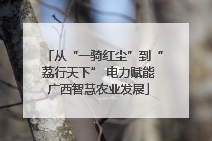 从“一骑红尘”到“荔行天下” 电力赋能广西智慧农业发展