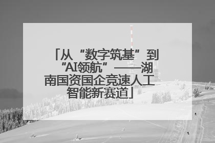 从“数字筑基”到“AI领航”——湖南国资国企竞速人工智能新赛道