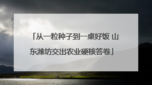 从一粒种子到一桌好饭 山东潍坊交出农业硬核答卷