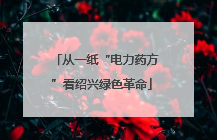 从一纸“电力药方”看绍兴绿色革命