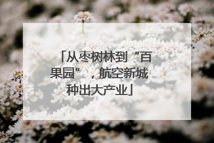 从枣树林到“百果园”，航空新城种出大产业
