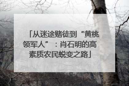 从迷途赌徒到“黄桃领军人”：肖石明的高素质农民蜕变之路