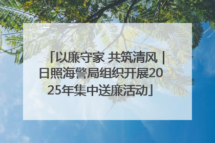 以廉守家 共筑清风｜日照海警局组织开展2025年集中送廉活动