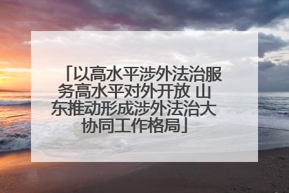 以高水平涉外法治服务高水平对外开放 山东推动形成涉外法治大协同工作格局