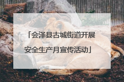 会泽县古城街道开展安全生产月宣传活动