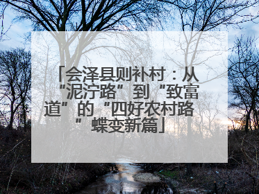 会泽县则补村：从“泥泞路”到“致富道”的“四好农村路”蝶变新篇
