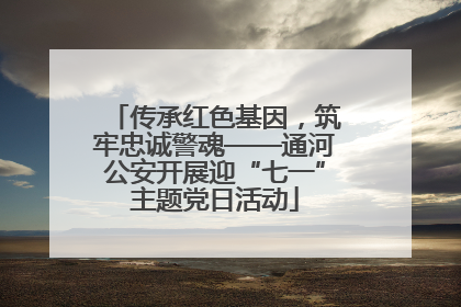 传承红色基因，筑牢忠诚警魂——通河公安开展迎“七一”主题党日活动
