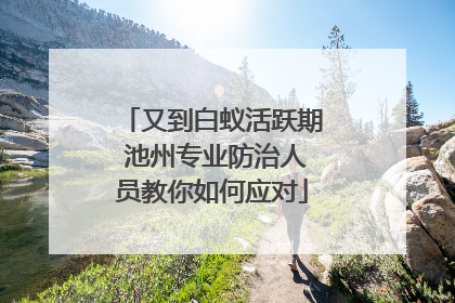 又到白蚁活跃期 池州专业防治人员教你如何应对