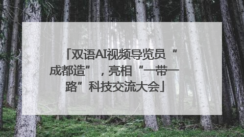 双语AI视频导览员“成都造”，亮相“一带一路”科技交流大会