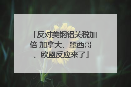 反对美钢铝关税加倍 加拿大、墨西哥、欧盟反应来了