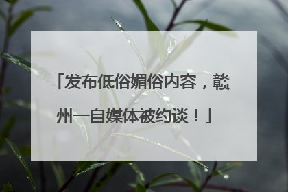 发布低俗媚俗内容，赣州一自媒体被约谈！