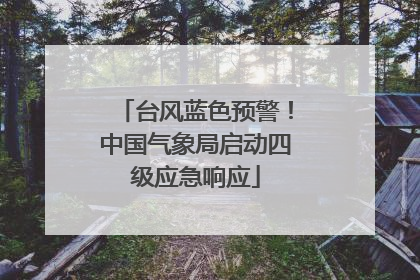 台风蓝色预警！中国气象局启动四级应急响应