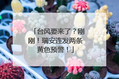 台风要来了？刚刚！瑞安连发两条黄色预警！