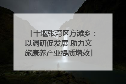 十堰张湾区方滩乡：以调研促发展 助力文旅康养产业提质增效