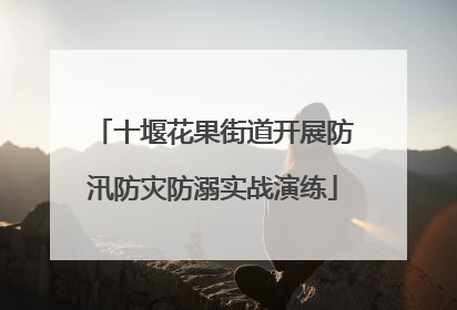 十堰花果街道开展防汛防灾防溺实战演练